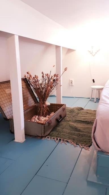 Olga'S Cottage Den Helder Bagian luar foto