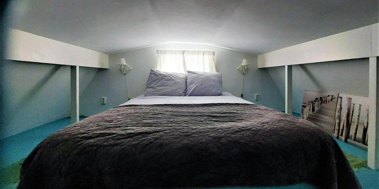Olga'S Cottage Den Helder Bagian luar foto